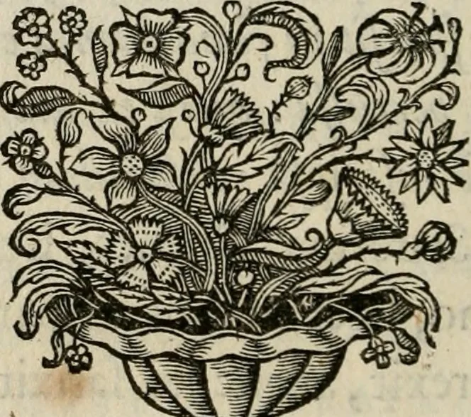 An illustration from De symbolis heroicis, libri IX, 1634, leaf 85