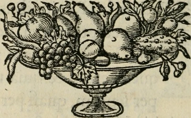An illustration from De symbolis heroicis, libri IX, 1634, leaf 87