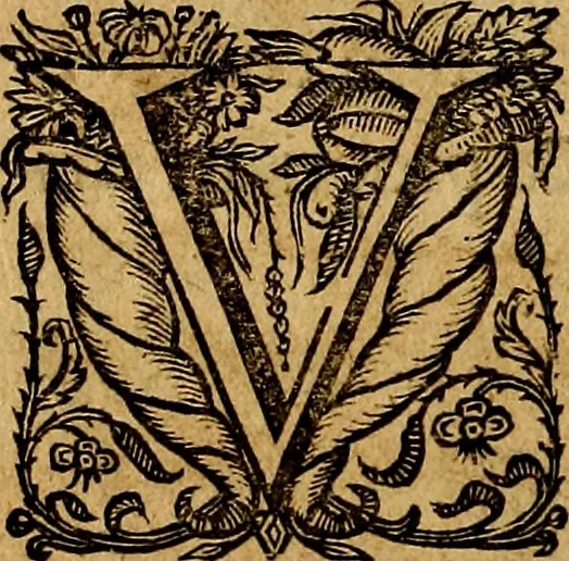 An illustration from De symbolis heroicis, libri IX, 1634, leaf 153