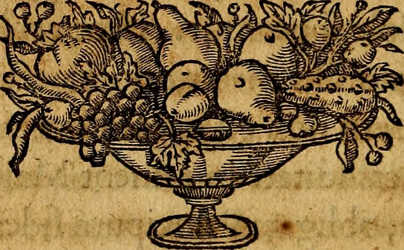 An illustration from De symbolis heroicis, libri IX, 1634, leaf 167