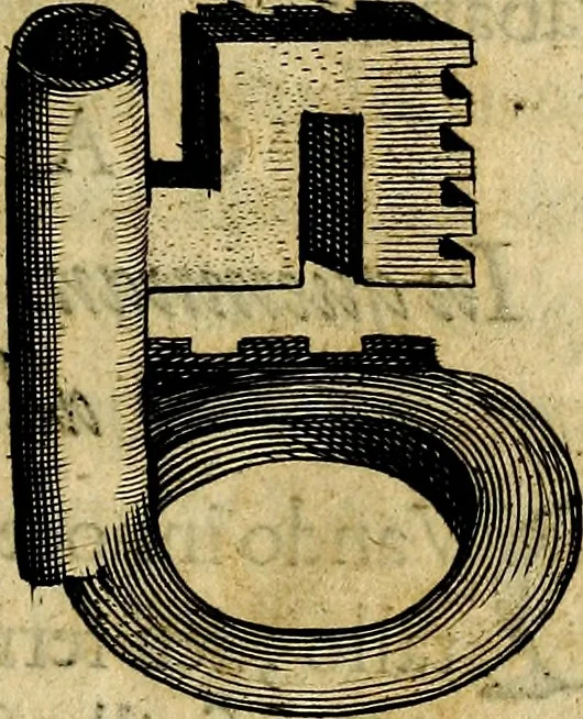 An illustration from De symbolis heroicis, libri IX, 1634, leaf 202