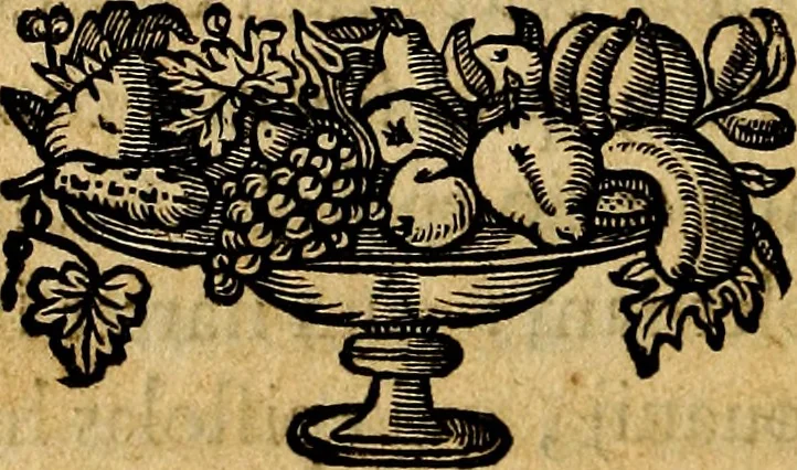 An illustration from De symbolis heroicis, libri IX, 1634, leaf 239