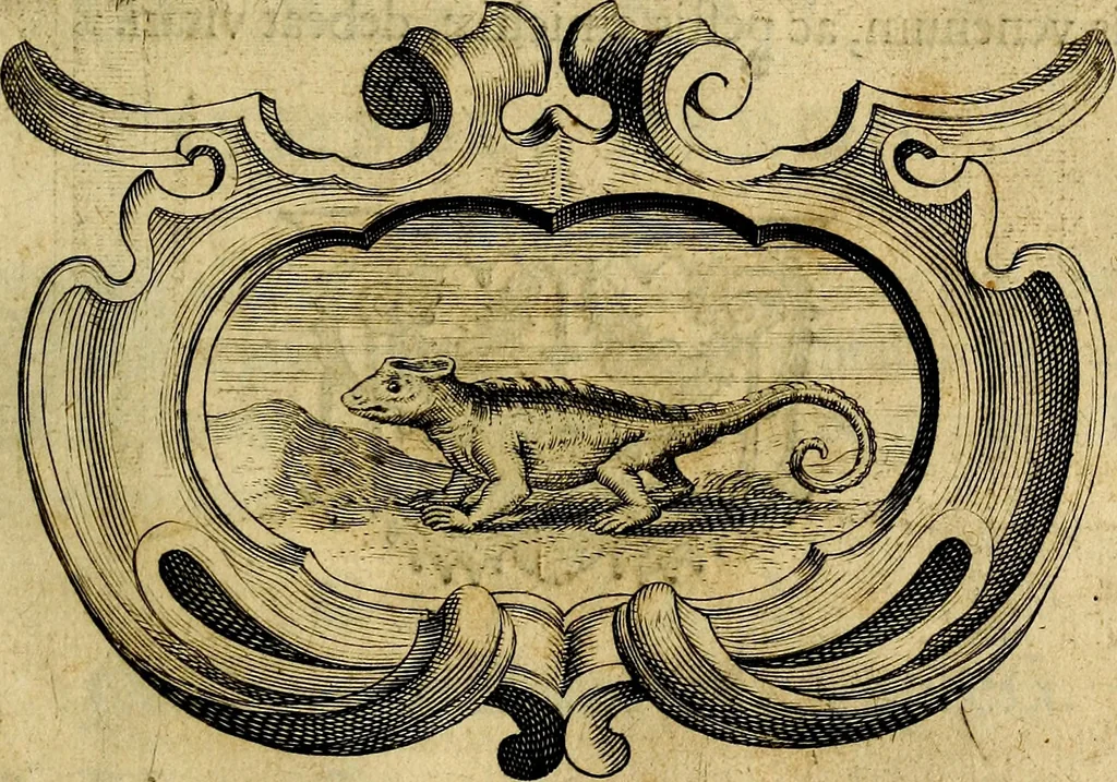 An illustration from De symbolis heroicis, libri IX, 1634, leaf 246