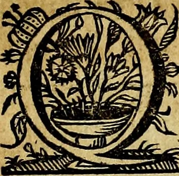 An illustration from De symbolis heroicis, libri IX, 1634, leaf 386