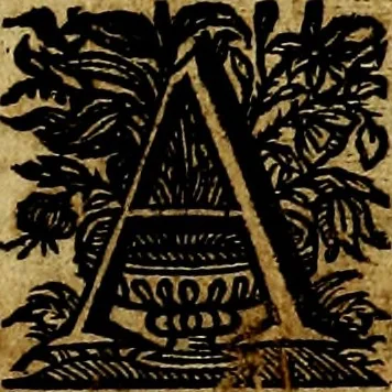 An illustration from De symbolis heroicis, libri IX, 1634, leaf 414
