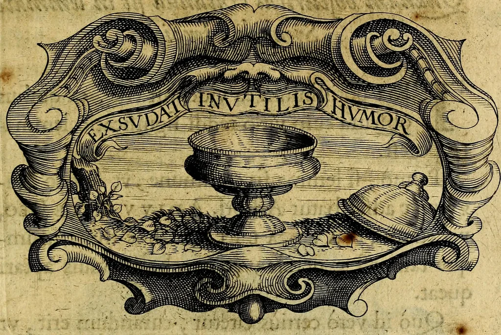 An illustration from De symbolis heroicis, libri IX, 1634, leaf 470