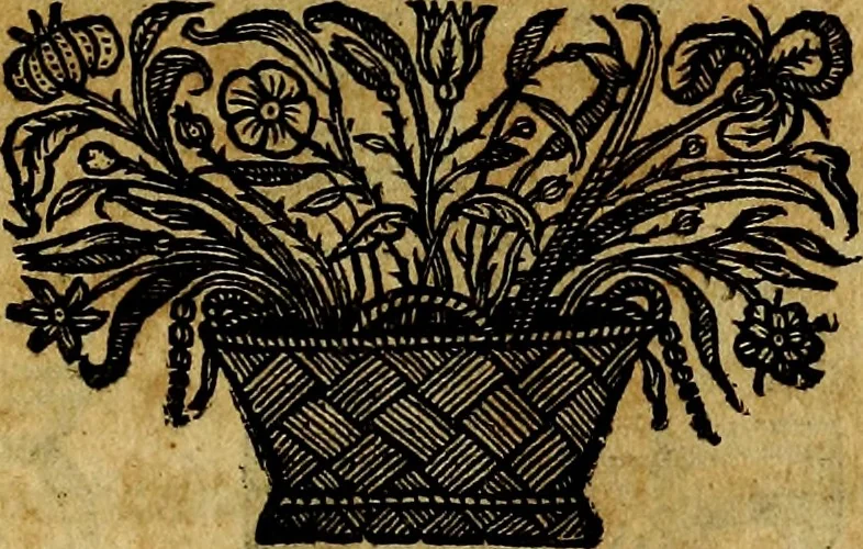 An illustration from De symbolis heroicis, libri IX, 1634, leaf 48