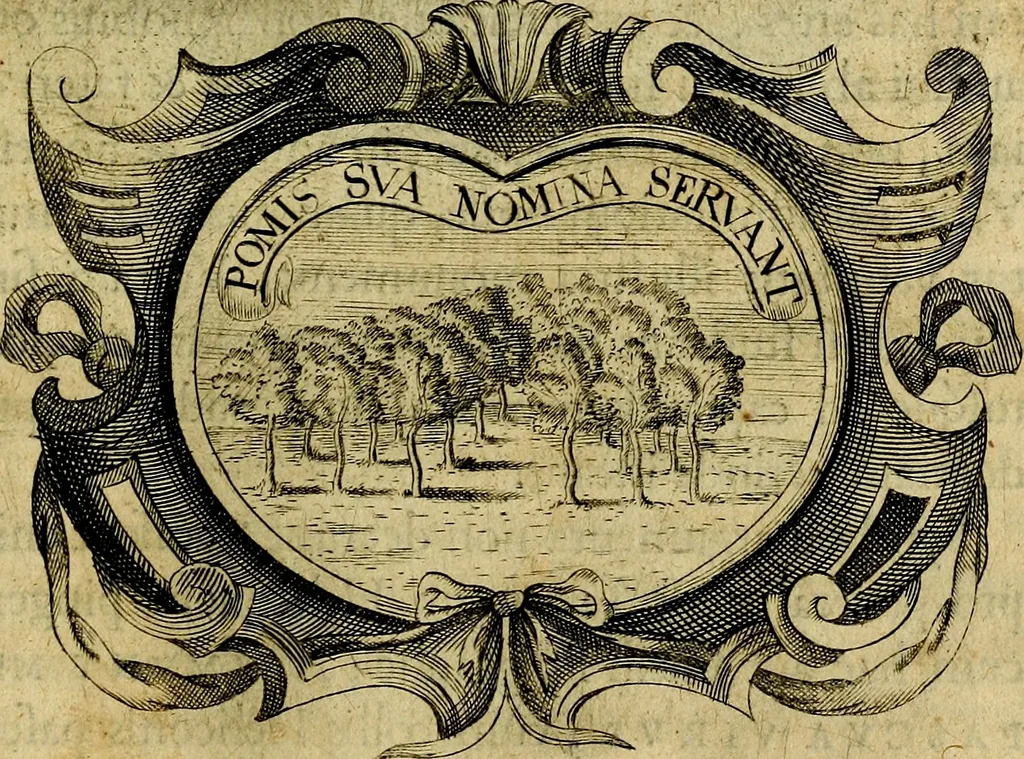 An illustration from De symbolis heroicis, libri IX, 1634, leaf 506