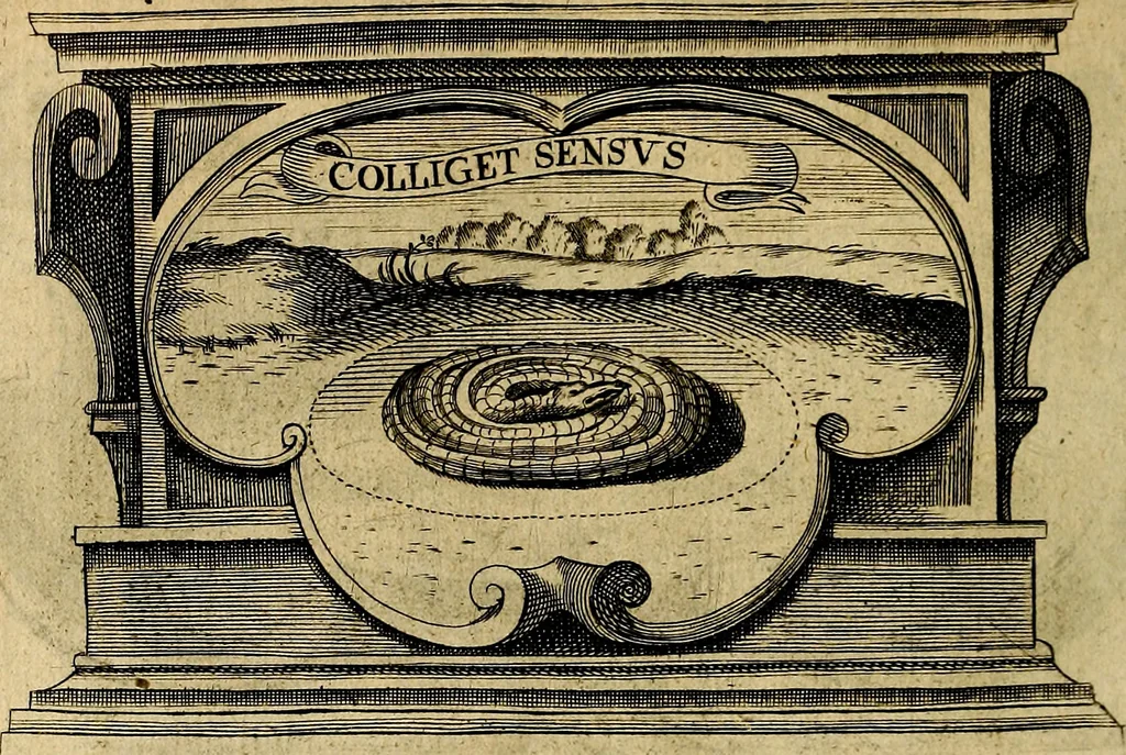 An illustration from De symbolis heroicis, libri IX, 1634, leaf 525