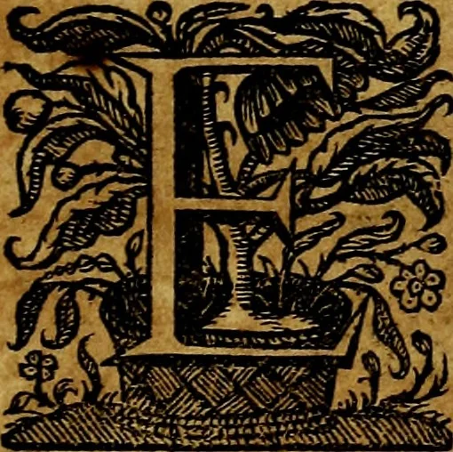 An illustration from De symbolis heroicis, libri IX, 1634, leaf 84