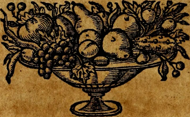 An illustration from De symbolis heroicis, libri IX, 1634, leaf 85