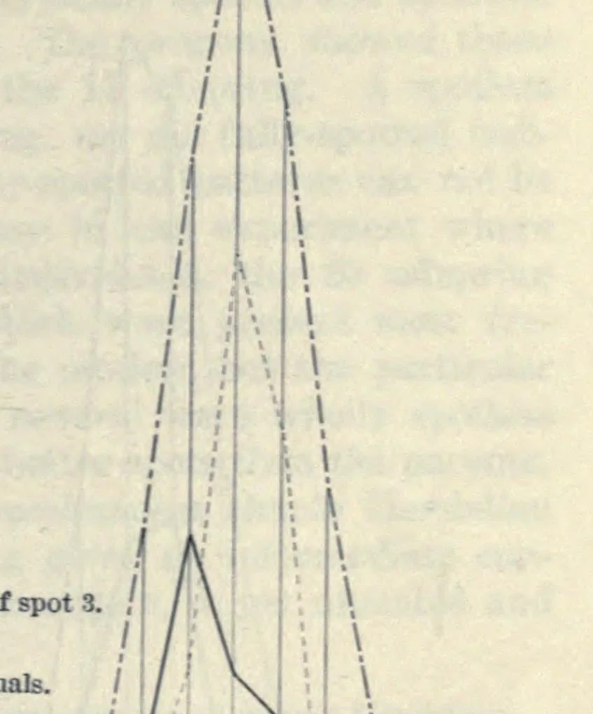 An illustration from Determinate evolution in the color-pattern of the lady-beetles, 1910, leaf 47