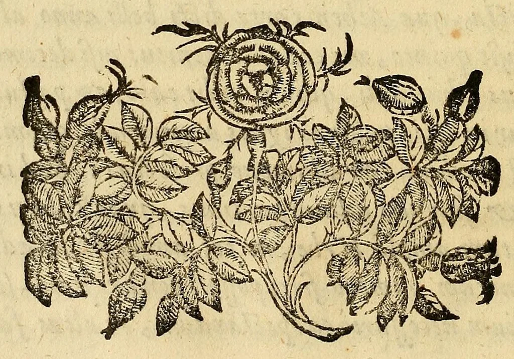 An illustration from De Tiberis inundatione medica disputatio : auctore Marsilio Cagnato ; Epidemia Romana, disputatio scilicet, de illa populari aegritudine, quae anno 1591 & de altera, quae anno 1593 in urbem Romam invasit .., 1599, leaf 26