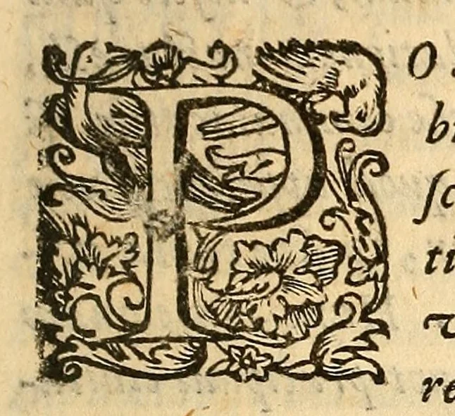 An illustration from De Tiberis inundatione medica disputatio : auctore Marsilio Cagnato ; Epidemia Romana, disputatio scilicet, de illa populari aegritudine, quae anno 1591 & de altera, quae anno 1593 in urbem Romam invasit .., 1599, leaf 63