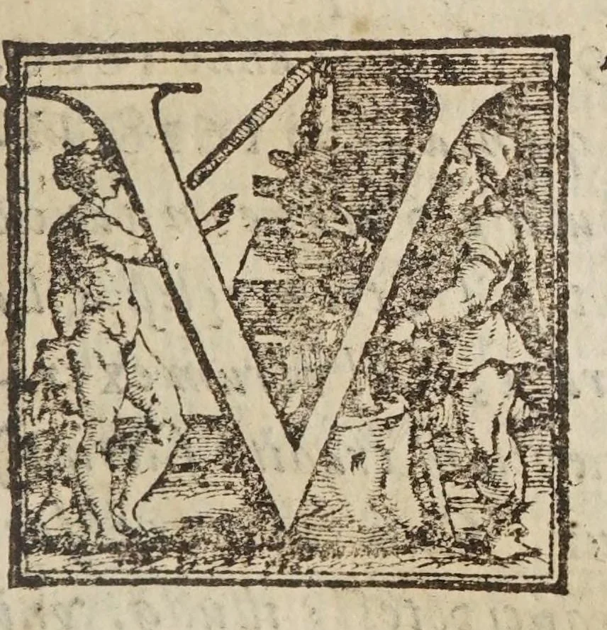 An illustration from De tribvs novis stellis : qvae annis 1572. 1600. 1604. comparuere, libri tres, 1628, leaf 381