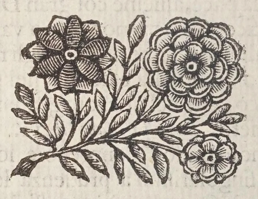 An illustration from Detti, e fatti memorabili del Senato, e patritii Veneti, 1672, leaf 116