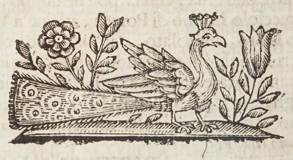 An illustration from Detti, e fatti memorabili del Senato, e patritii Veneti, 1672, leaf 218