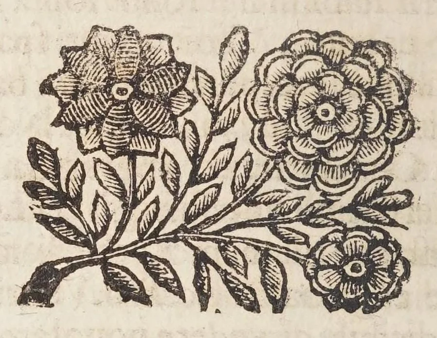 An illustration from Detti, e fatti memorabili del Senato, e patritii Veneti, 1672, leaf 232
