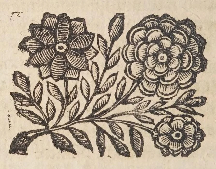 An illustration from Detti, e fatti memorabili del Senato, e patritii Veneti, 1672, leaf 252