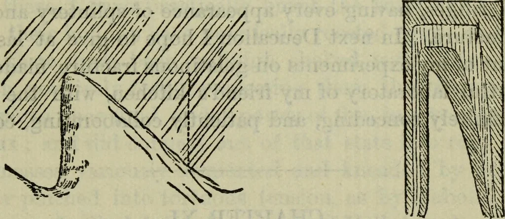 An illustration from Deucalion ; also, The King of the golden river ; The eagle's nest ; Arrows of the chace, 1890, leaf 142