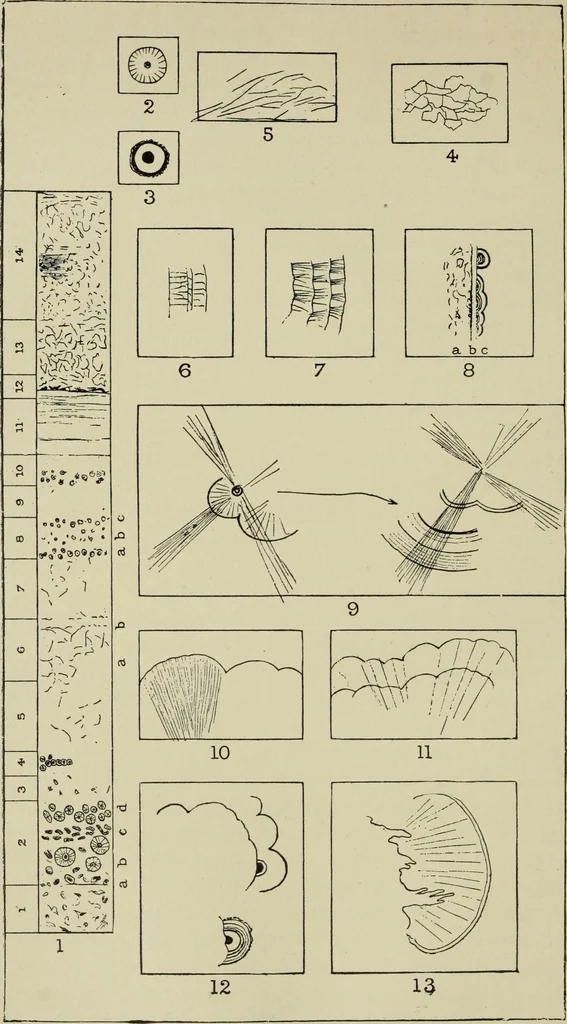 An illustration from Deucalion ; also, The King of the golden river ; The eagle's nest ; Arrows of the chace, 1890, leaf 151