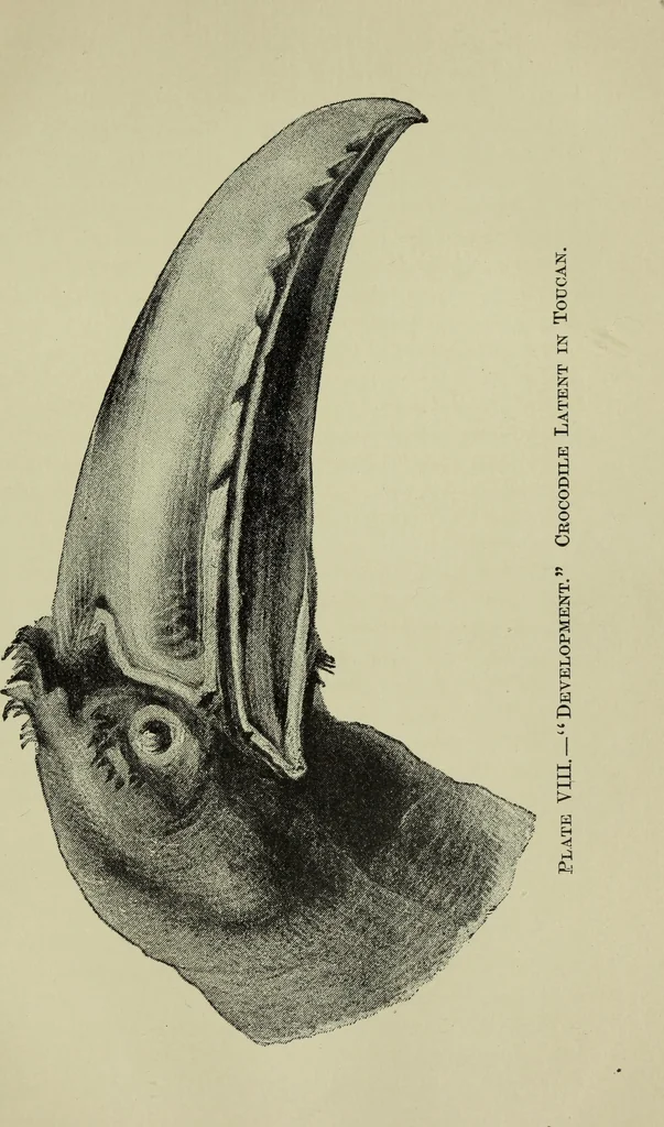 An illustration from Deucalion ; also, The King of the golden river ; The eagle's nest ; Arrows of the chace, 1890, leaf 208