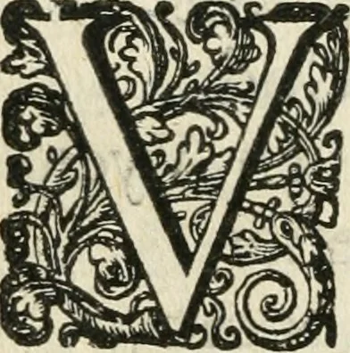 An illustration from Deugden-spoor; in de on-deughden des werelts aff-gebeeldt, 1645, leaf 353