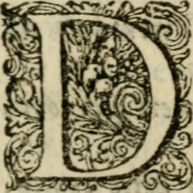 An illustration from Deugden-spoor; in de on-deughden des werelts aff-gebeeldt, 1645, leaf 74