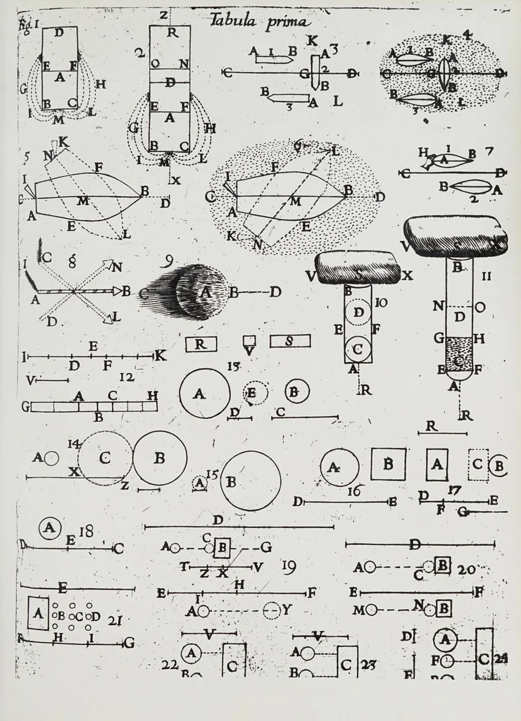 An illustration from De ui percussionis liber, 1667, leaf 349