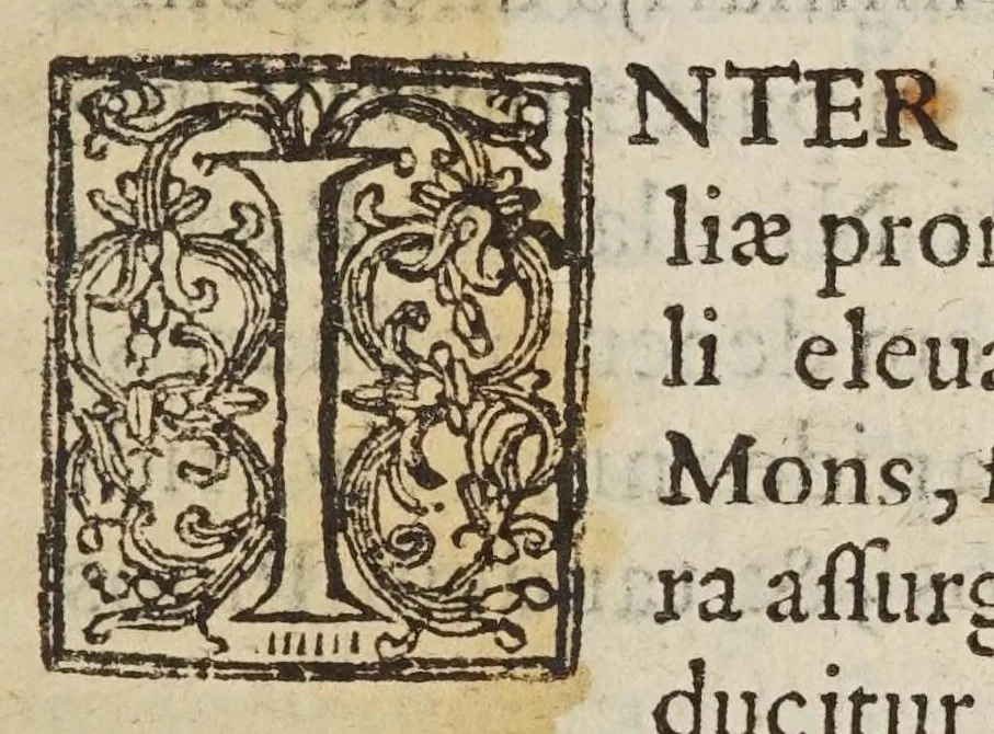An illustration from De ui percussionis liber, 1667, leaf 371