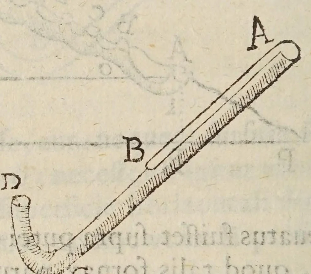 An illustration from De ui percussionis liber, 1667, leaf 452