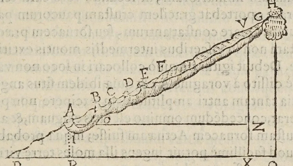 An illustration from De ui percussionis liber, 1667, leaf 453