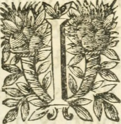 An illustration from Deuises heroiques et morales, 1649, leaf 46