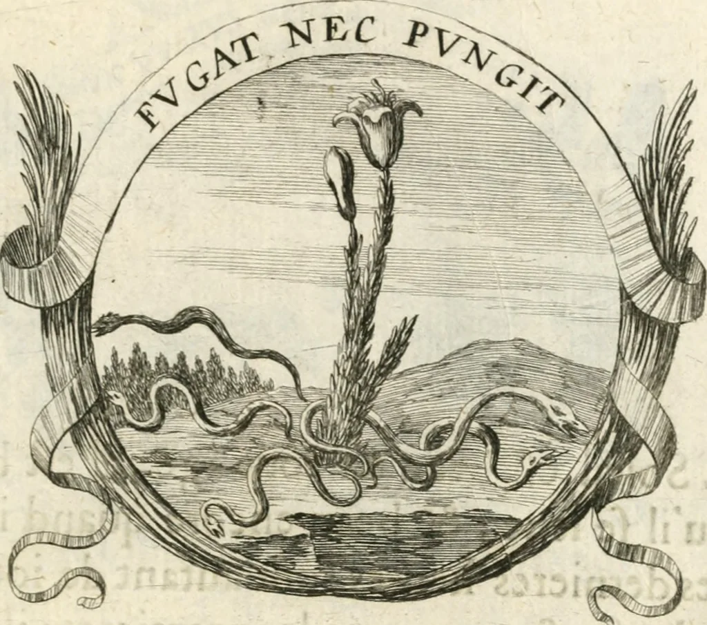An illustration from Deuises heroiques et morales, 1649, leaf 48