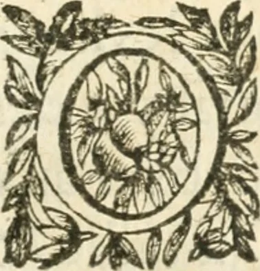 An illustration from Deuises heroiques et morales, 1649, leaf 72