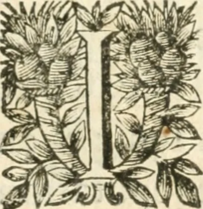 An illustration from Deuises heroiques et morales, 1649, leaf 74