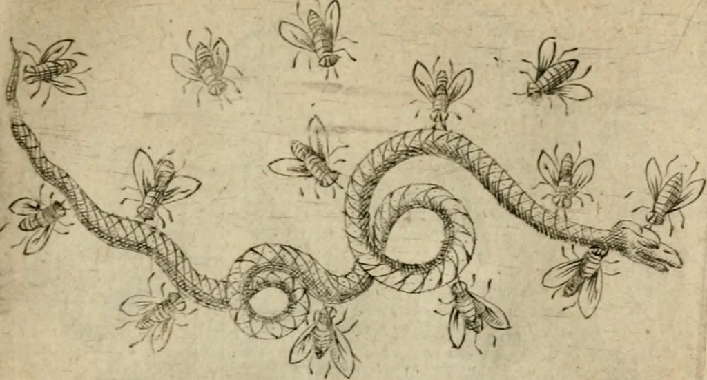 An illustration from Deuises heroiques et emblemes, 1621, leaf 124