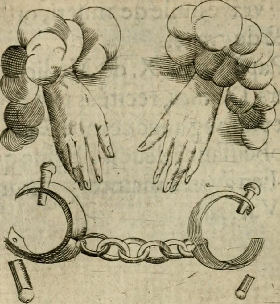 An illustration from Deuises heroiques et emblemes, 1621, leaf 163