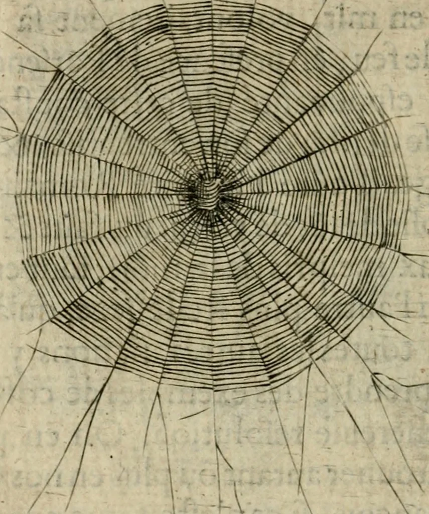 An illustration from Deuises heroiques et emblemes, 1621, leaf 177