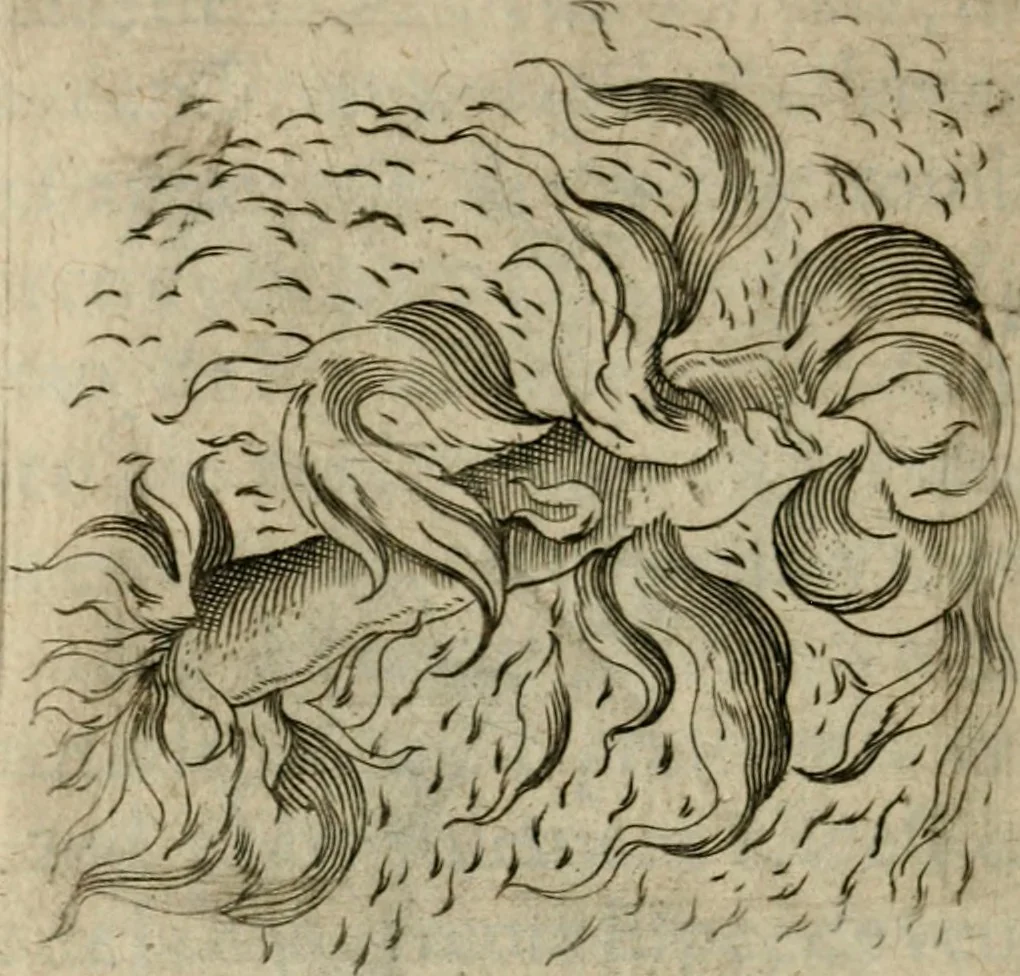An illustration from Deuises heroiques et emblemes, 1621, leaf 195