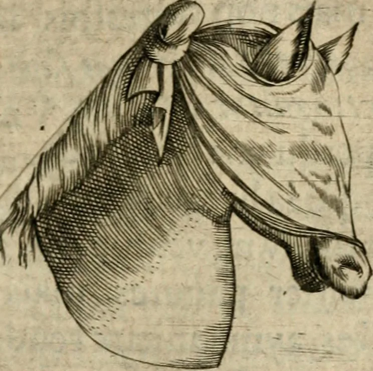 An illustration from Deuises heroiques et emblemes, 1621, leaf 196