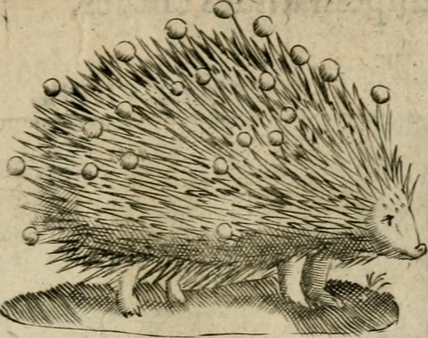 An illustration from Deuises heroiques et emblemes, 1621, leaf 198