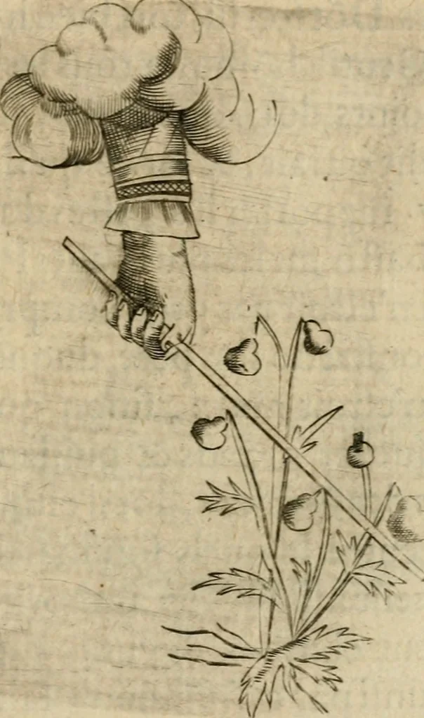An illustration from Deuises heroiques et emblemes, 1621, leaf 202