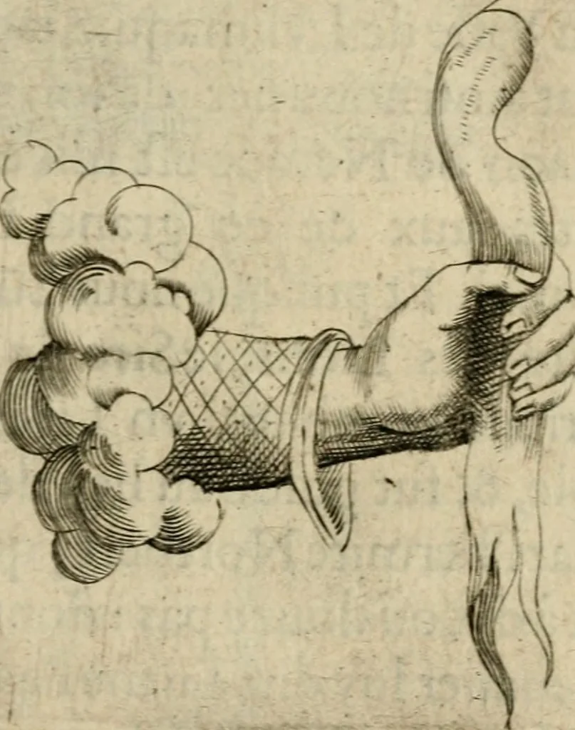 An illustration from Deuises heroiques et emblemes, 1621, leaf 208