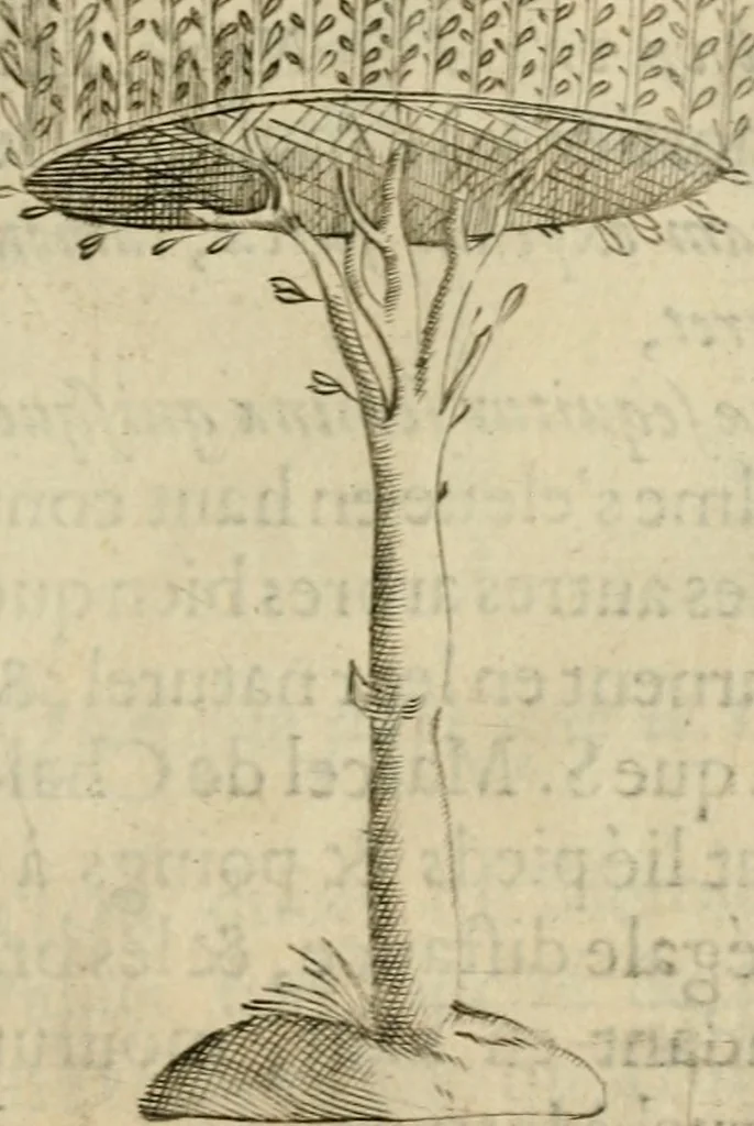 An illustration from Deuises heroiques et emblemes, 1621, leaf 210