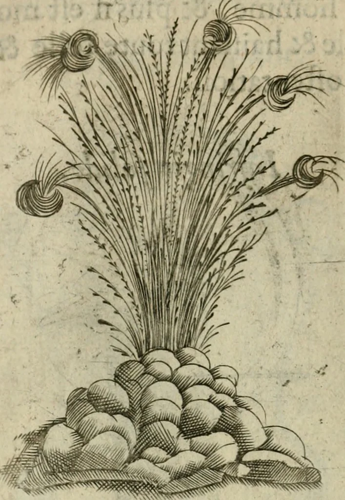 An illustration from Deuises heroiques et emblemes, 1621, leaf 221