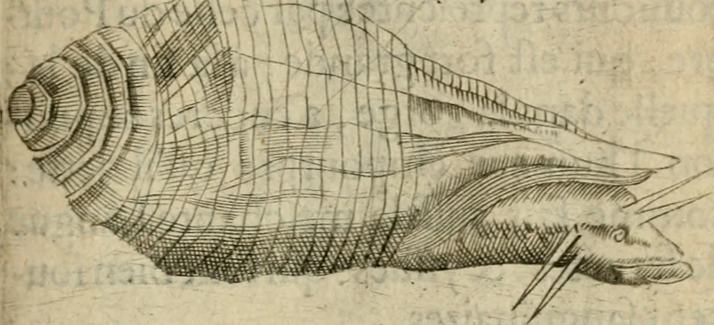 An illustration from Deuises heroiques et emblemes, 1621, leaf 224