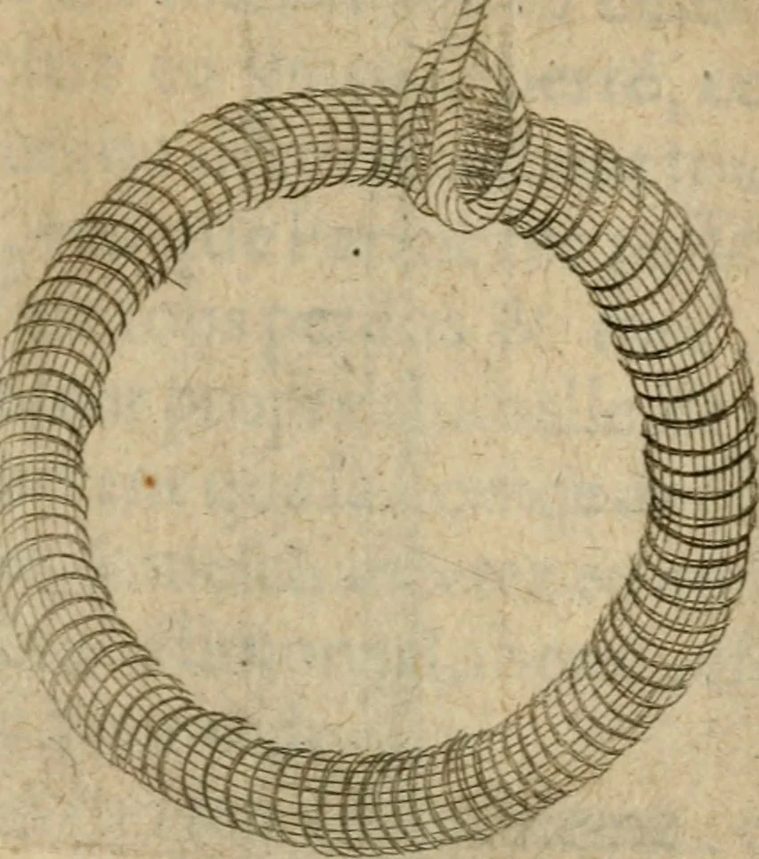 An illustration from Deuises heroiques et emblemes, 1621, leaf 240