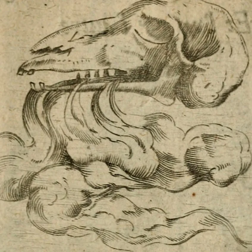 An illustration from Deuises heroiques et emblemes, 1621, leaf 246