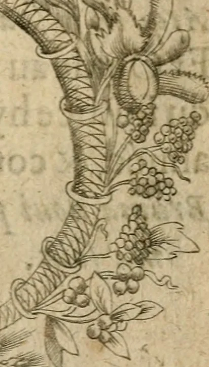 An illustration from Deuises heroiques et emblemes, 1621, leaf 254